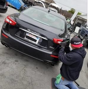 Meet your Posher, Roy